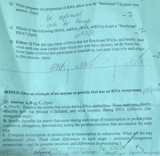 b) What property p it to be functional? Explain your sr Detity (or properties) of R be replcafec Snl sh RNA c) Which of t a functional RNAz Chthe folowing CRN mNAR (2pts) Either: i) Pick any two types what ea d) at are functional RNAs, and briefly state each one does (make clear which two you have chosen), or i) Name the three types y of RNAs that participate in translation, and state what role each plays in this process. (4pts) BONUS: Give ve an example of an enzyme or protein that has an RNA component. 0. Answer A, B or C.(Opts) ly descerihe the events that occur during DNA replication. Make sure you clearly how the process is initiated, and what happens during DNA synthesis (the describe elongation step). B. Briefly describe the events that occur during each stage of transcription in prokaryotes (initiation, elongation, termination), noting the proteins/enzymes that are needed for each step. C. Compare transcription in prokaryotes to transcription in eukaryotes. What ané the key differences? (Hint Think about differences in each stage initiation elongation, termination- and the proteins involved, and differences in processing.) dras