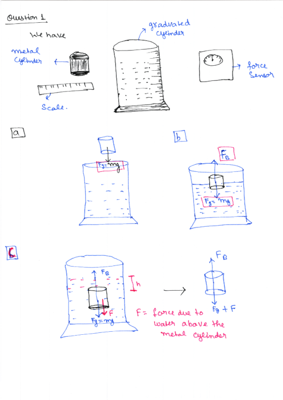 Qustion advated metal 21 Scale Fe F- fonuu due to Fo+F walt above the YF