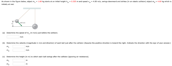 As shown in the figure below, object m1-1.60 kg starts at an initial height h1-0.325 m and speed v11-4.00 m/s, swings downward and strikes (in an elastic collision) object m2-4.60 kg which is initially at rest. 4,00 mis (a) Determine the speed of m (in m/s) just before the collision m/s (b) Determine the velocity (magnitude in m/s and direction) of each ball just after the collision (Assume the positive direction is toward the right. Indicate the direction with the sign of your answer.) m/s m/s (c) Determine the height (in m) to which each ball swings after the collision (ignoring air resistance)