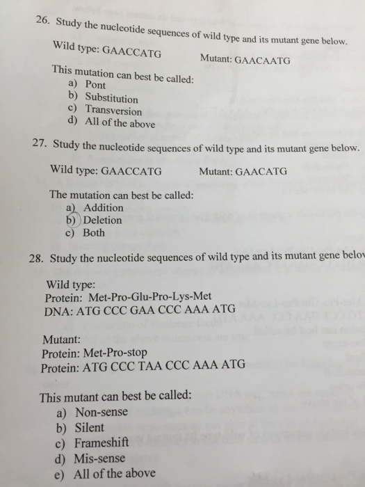 Study the nucleotide sequences of wild type and it