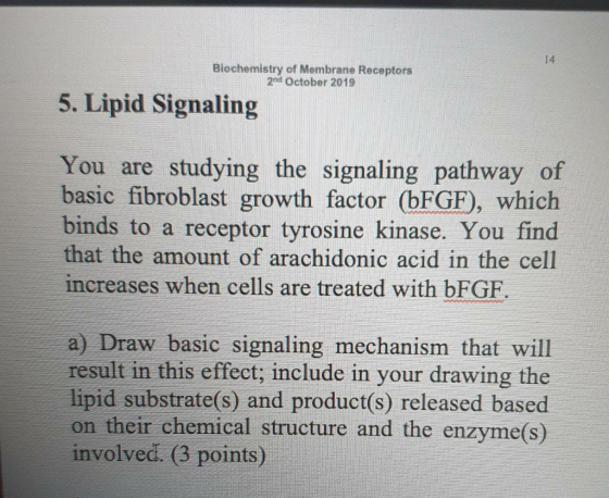 14 Biochemistry of Membrane Receptors 2nd October 2019 5. Lipid Signaling You are studying the signaling pathway of basic fib