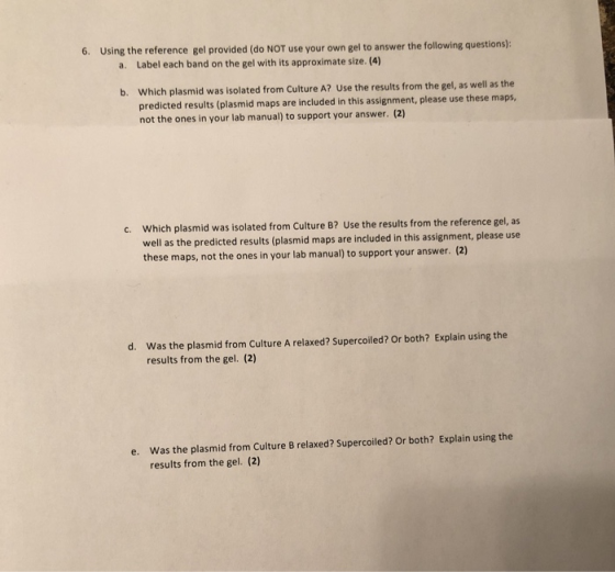 6. Using the reference gel provided (do NOT use your own gel to answer the following questions): a. Label each band on the gel with its approximate size. (4) Which plasmid was isolated from Culture A? Use the results from the gel, as well as the predicted results (plasmid maps are included in this assignment, please use these maps, not the ones in your lab manual) to support your answer. (2) b. c. Which plasmid was isolated from Culture B? Use the results from the reference gel, as s are included in this assignment, please use well as the predicted results (plasmid map these maps, not the ones in your lab manual) to support your answer. (2) d. Was the plasmid from Culture A relaxed? Supercoiled? Or both? Explain using the results from the gel. (2) Was the plasmid from Culture B relaxed? Supercoiled? Or both? Explain using the results from the gel. (2) e.