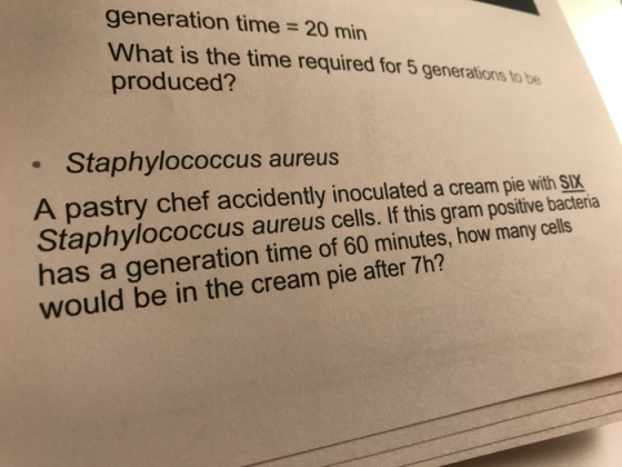 generation time 20 min What is the time required for 5 generations to be produced? Staphylococcus aureus A pastry chef accide