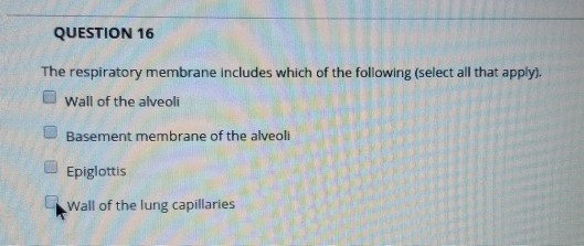 QUESTION 16 The respiratory membrane includes which of the following (select all that apply). Wall of the alveoli Basement me
