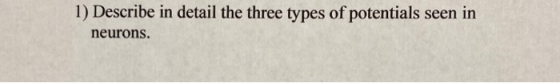 1) Describe in detail the three types of potentials seen in neurons.