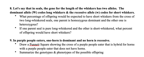 8. Lets say that in seals, the gene for the length of the whiskers has two alleles. The dominant allele (W) codes long whisk