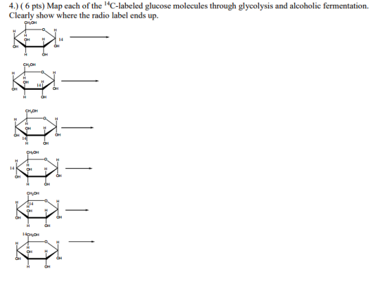 4.) (6 pts) Map each of the C-labeled glucose molecules through glycolysis and alcoholic fermentation. Clearly show where the radio label ends up 14 CH OH 14 OH CH,OH OH H 14