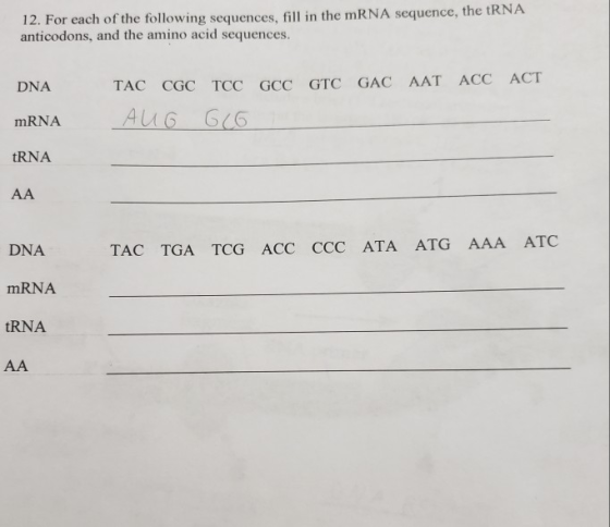 12. For each of the following sequences, fill in the mRNA sequence, the tRNA anticodons, and the amino acid sequences. DNA TA