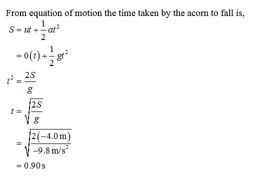 From equation of motion the time taken by the acorn to fall is, 2 2 2.S 2S 2(-4.0m -9.8 m/s2 0.90s