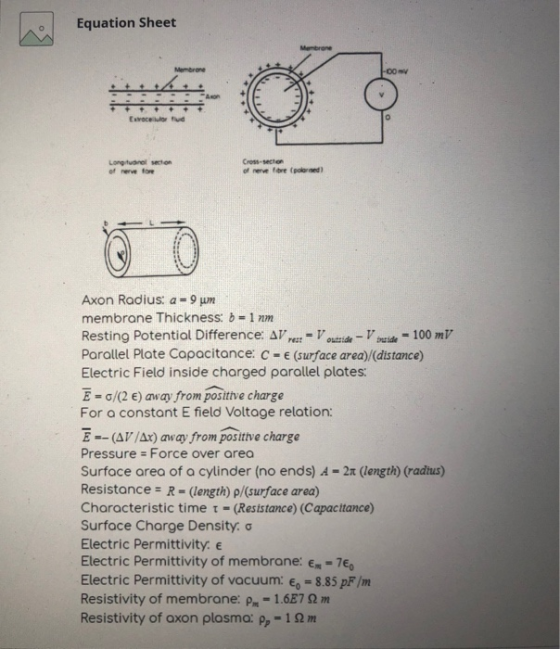 Equation Sheet Membrane Membrane -00 FAN Excelud Longitudinal section of nerve for Cross-section of nerve ove pored oo Axon R
