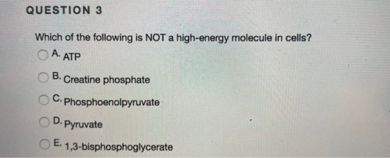 QUESTION 3 Which of the following is NOT a high-energy molecule in cells? O A. ATP B. Creatine phosphate C.Phosphoenolpyruvat