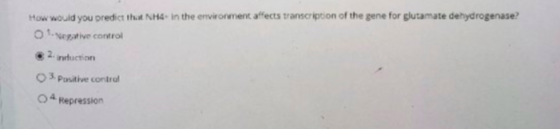 How would you predict that NH4 in the environment affects transcription of the gene for glutamate dehydrogenase? 01. Negative