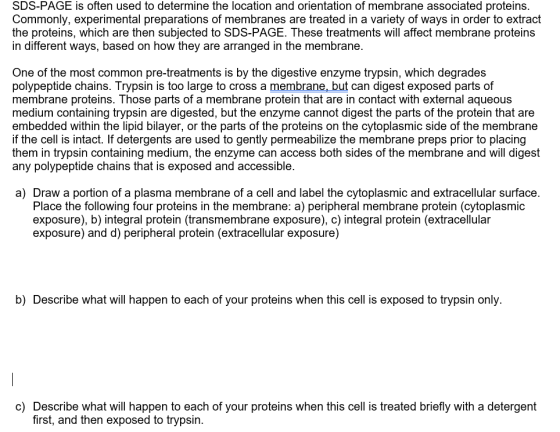 SDS-PAGE is often used to determine the location and orientation of membrane associated proteins. Commonly, experimental prep
