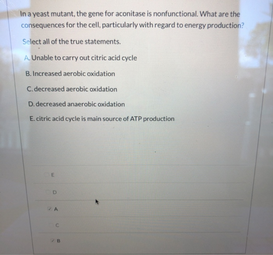 In a yeast mutant, the gene for aconitase is nonfunctional. What are the consequences for the cell, particularly with regard