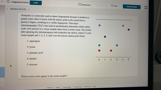 < Assignment Score: 4.2% Resources D Give Up Hint Check Answer < Question 23 of 24 > Ninhydrin is commonly used to detect fin