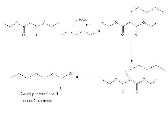 NaOEt OH 0 2-methylheptanoic acid option is correct