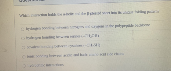 Which interaction holds the a-helix and the B-pleated sheet into its unique folding pattern? hydrogen bonding between nitroge