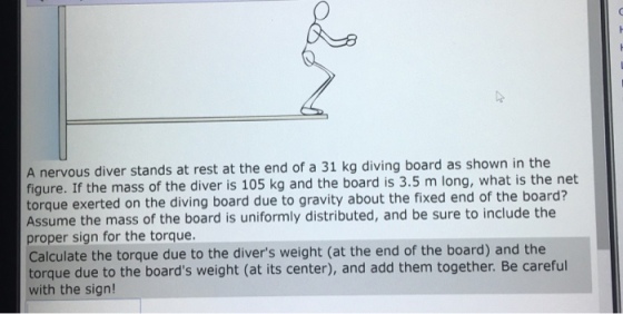A nervous diver stands at rest at the end of a 3