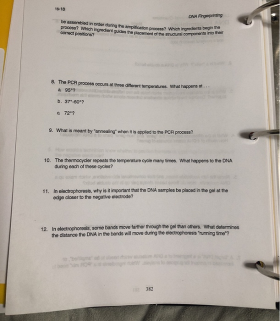 16-18 DNA Fingerprinting be assembled in order during the amplification process? Which ingredier process? Which ingredient gu