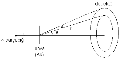 dedektör r O > parçacığı lehva (Au)