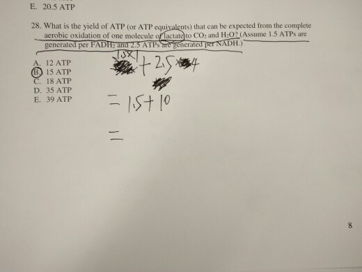 E. 20.5 ATP 28. What is the yield of ATP (or ATP equivalents) that can be expected from the complete aerobic oxidation of one