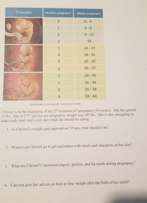 Trimester Months pregnant Weeks pregnant 0 - 4 o trimester w w un 5-8 9-12 13 14 - 17 18-21 22 - 25 26-27 28 - 30 31 - 34 35