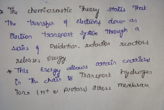 The chamiosmotec Theoy A3ansbua eloctaons docon an tanspoat ysm Statis Theuk The Throonon Eluon tsanspont ytm Thaough neactio