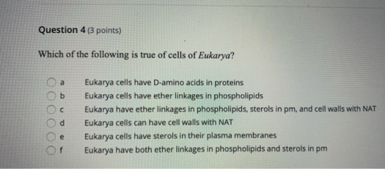 Question 4 (3 points) Which of the following is true of cells of Eukarya? са Ob Oc Od Eukarya cells have D-amino acids in pro