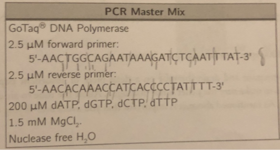 PCR Master Mix GoTaq DNA Polymerase 2.5 μM forward primer: 5-AACTGGCAGAATAAAGATCTC 2.5 ㎂Λ reverse primer: 5-AACACAAACCATCACS