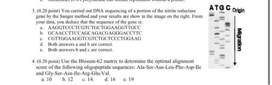 L OLLS POLLSL LLL LLLLLILPUULIOL eductase ATG C Origin 3. (0.20 point) You carried out DNA sequencing of a portion of the nit