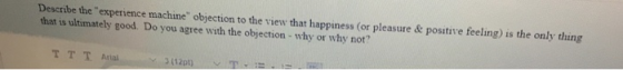 Describe the experience machine objection to the view that happiness (or pleasure & positive feeling) is the only thing that