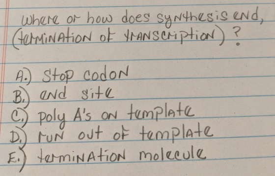where or how does s nthesiserid. AStop codoN 0 poly As od tumplata ON tury out oE template