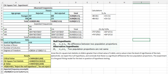 1 Chi-Sqe Test- Experiment Observed Frequencies Tissues Calculations Rejected Not rejected Total fo-fe Younger 297 Old 248 SUM(B5:C5 -SUM(B6:C6) -SUM(B7:C7) B5-B11 -B6-B12 C5-C11 723 -SUM(C5:C6) Total SUM(BS:B6) Expected Frequencies -B3 fo-fe) 2/fe 10 EA4 11 EAS 12 EA6 13 SD5 B$7/SDS7 SD6BS7/SDST Total SUM(B11:C11) -SUM(B12:C12) -SUM(B13:C13) -F5A2/B11 G5 2/C11 F6 2/B12 2/C12 Total SUM(B11:B12 SUM(C11:C12 Data Null hypothesis 15 Level of Significance 16 Number of Rows 17 Number of Columns 18 Degrees of Freedom 0.05 ,- 2 No difference between two population proportions Alternative hypothesis: H, π Two population proportions are not same -(SB$16-1) (SB$17-1 Since the chi-square test statistic, 11.9256 is greater than critical value of 3.8415, and p-value is less the level of significance of the test alpha-0.05, we reject the null hypothesis, and conclude that there is a significant difference the two population proportions. The experiment 3 is the good fitting model for the test in question of hypothesis testing. Results 20 21 Critical Value 22 Chi-Square Test Statistic SUM(SF$11:$G$12) 23 p-Value 24IF(B23 B15, Reject the null 25 Expected frequency assumptic -CHIINV(B15,B18 -CHIDIST(B22,B18) hesis, Do not rejectt