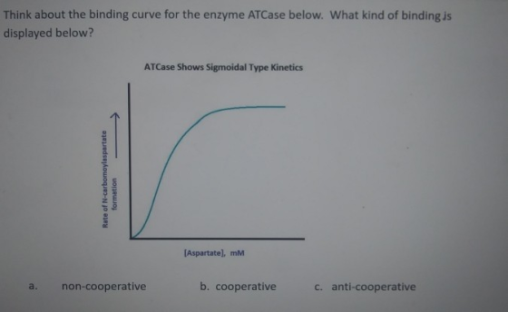 Think about the binding curve for the enzyme ATCase below. What kind of binding is displayed below? ATCase Shows Sigmoidal Ty