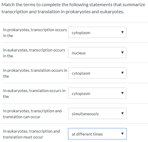 Match the terms to complete the following statements that summarize transcription and translation in prokaryotes and eukaryot