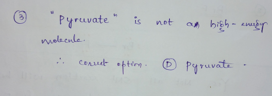 ③ not a bigh-enerse Pyruvate is molecule. in correct option. Pyruvate .