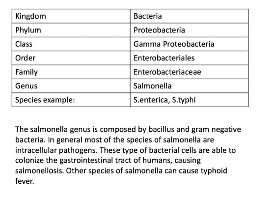 Kingdom Phylum Class Order Family Genus Species example: Bacteria Proteobacteria Gamma Proteobacteria Enterobacteriales Enter