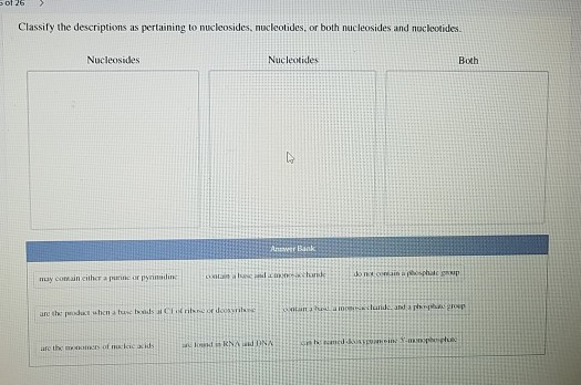 Classily the descriptions as pertaining to nucleosides, nucleotides, or both nucleosides and mucleotides. Nucleosides Nucleot
