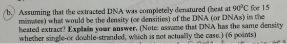 Assuming that the extracted DNA was completely denatured (heat at 90°C for 15 minutes) what would be the density (or densitie