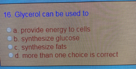 16. Glycerol can be used to Ca, provide energy to cells 6 b. synthesize glucose c. synthesize fats d. more than one choice is