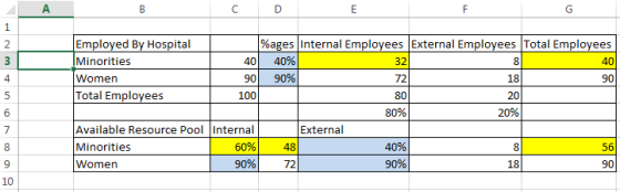 20 Employed By Hospital %ages Internal Employees External Employees Total Employees Minorities 40 40% 40 Women 90 90% 18 90 T
