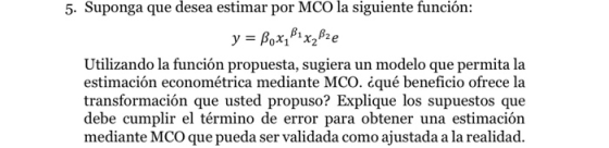5. Suponga que desea estimar por MCO la siguiente función: y = Box, B1xxBze Utilizando la función propuesta, sugiera un model