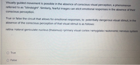 Visually guided movement is possible in the absence of conscious visual perception, a phenomenon referred to as blindsight.