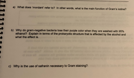 a) What does mordant refer to? In other words, what is the main function of Grams iodine? -.IIIIIIIII b) Why do gram-negat