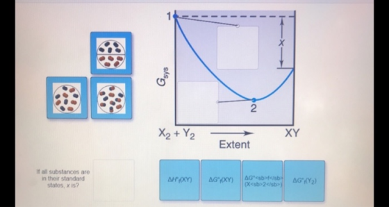 Х 2 X₂ +Y₂ XY Extent If all substances are in their standard statos, x is? AH/(XY) AG*(XY) AG<sbf</sb (X<b>2</sb AG:[Y)