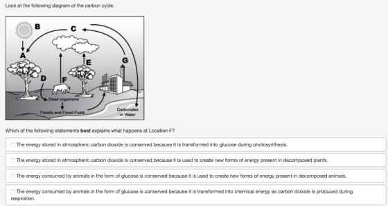 Look at the following diagram of the carbon cycle. W w Dead organisms Fossils and Fossil Fuels Carbonates in Water Which of t