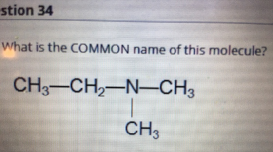 stion 34 What is the COMMON name of this molecule? CH3-CH2-N-CH3 CH3