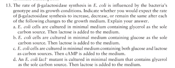 13. The rate of B-galactosidase synthesis in E. coli is influenced by the bacterias genotype and its growth conditions. Indi