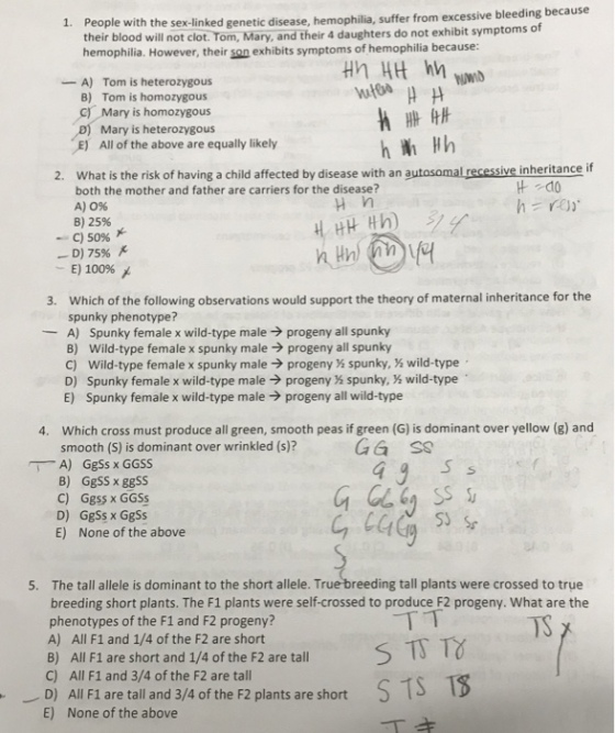 1. People wit h the sex-linked genetic disease, hemophilia, suffer from excessive bleeding because their blood will not clot. Tom, Mary, and their 4 daughters do not exhibit symptoms of hemophilia. However, their son exhibits symptoms of hemophilia because: A) Tom is heterozygous B) Tom is homozygous C Mary is homozygous D) Mary is heterozygous E All of the above are equally likely What is the risk of having a child affected by disease with an autosomal recessive inheritance both the mother and father are carriers for the disease? A) 0% B) 25% 2. H n -. C) 5096 X- -E) 10096メ 3. Which of the following observations would support the theory of maternal inheritance for the spunky phenotype? A) Spunky female x wild-type male progeny all spunky B) Wild-type female x spunky male progeny all spunky C) Wild-type female x spunky male progeny spunky, % wild-type D) Spunky female x wild-type maleprogeny spunky, x wild-type E) Spunky female x wild-type maleprogeny all wild-type Which cross must produce all green, smooth peas if green (G) is dominant over yellow (g) and smooth (S) is dominant over wrinkled (s)? A) GgSs x GGSs B) GgSS x ggSS C) Ggss x GGSS D) GgSs x GgSs E) None of the above 4. The tall allele is dominant to the short allele. True breeding tall plants were crossed to true breeding short plants. The F1 plants were self-crossed to produce F2 progeny. What are the phenotypes of the F1 and F2 progeny? A) All F1 and 1/4 of the F2 are short B) All F1 are short and 1/4 of the F2 are tal C) All F1 and 3/4 of the F2 are tall 5. TS D) All F1 are tall and 3/4 of the F2 plants are short E) None of the above
