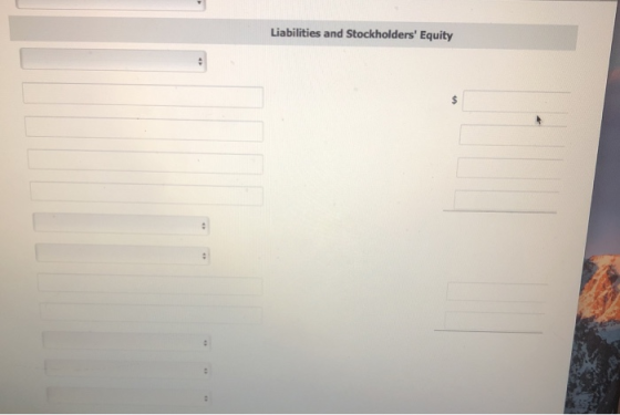 Liabilities and Stockholders Equity